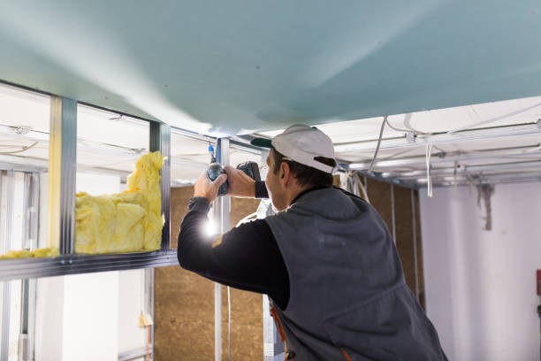 Best Insulation Maintenance and Repair in Carrollton, OH
